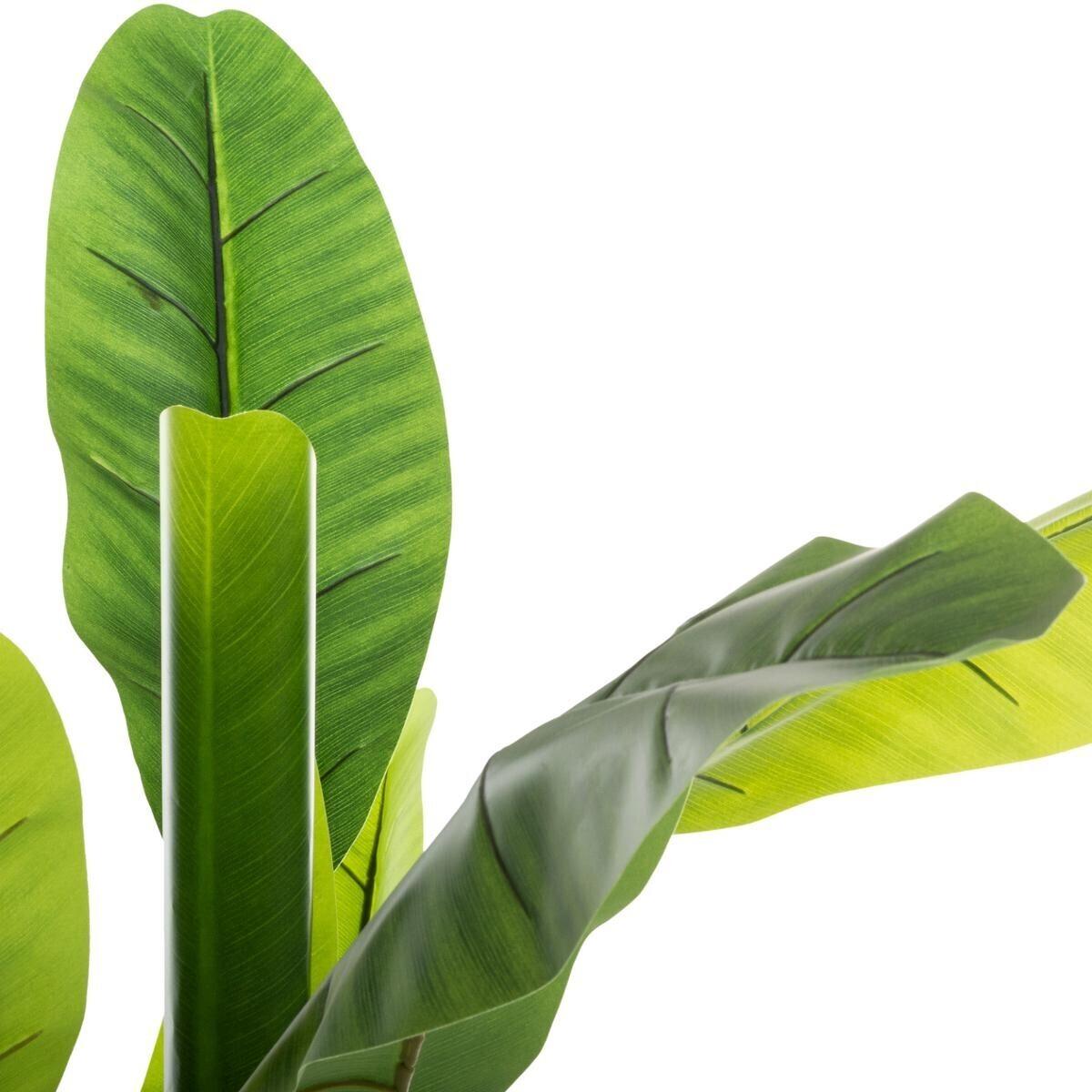 Atmosphera Dekorativna Biljka Banana Drvo - dodatni pogled