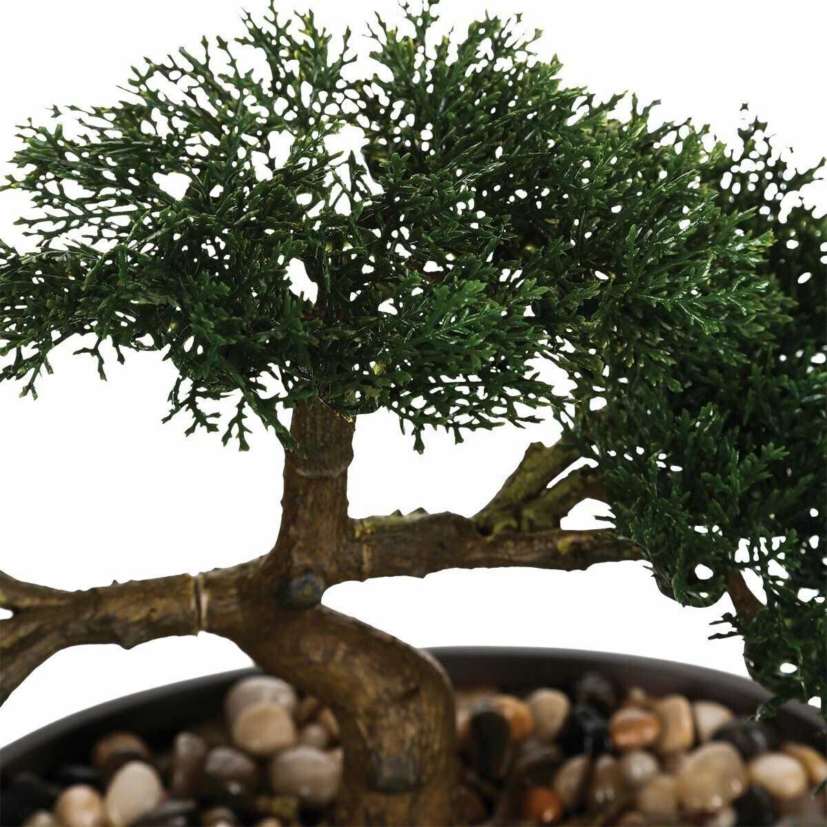 Bonsai H=23 cm u Keramičkoj Saksiji - Atmosphera Createur d interieur - dodatni pogled