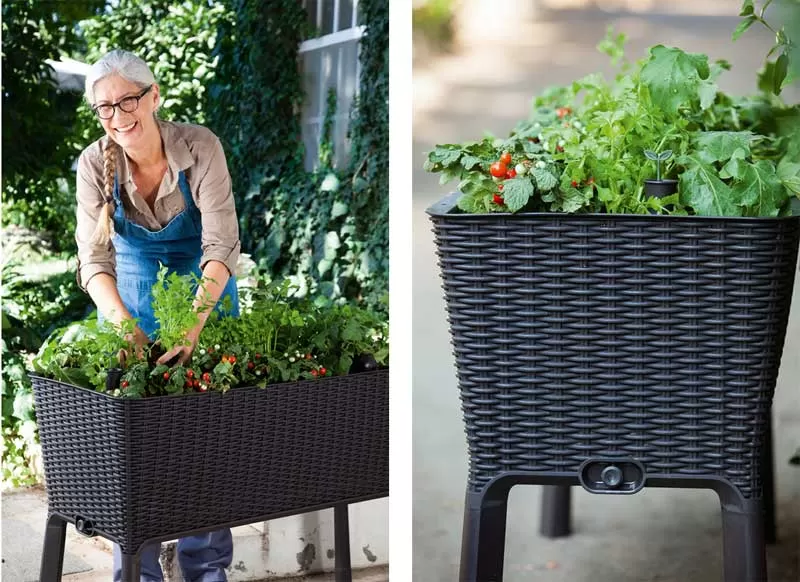 Keter Visoka žardinjera Easy Grow 120L Graphitte