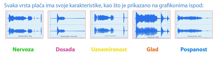 WhyCry® – Analizator Bebinog Plača - dodatni pogled