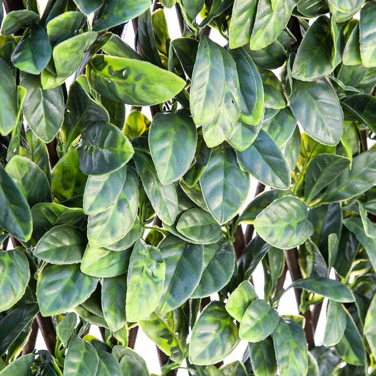 Veštačka živa ograda sa PVC lišćem Lovor 1x2m - dodatni pogled