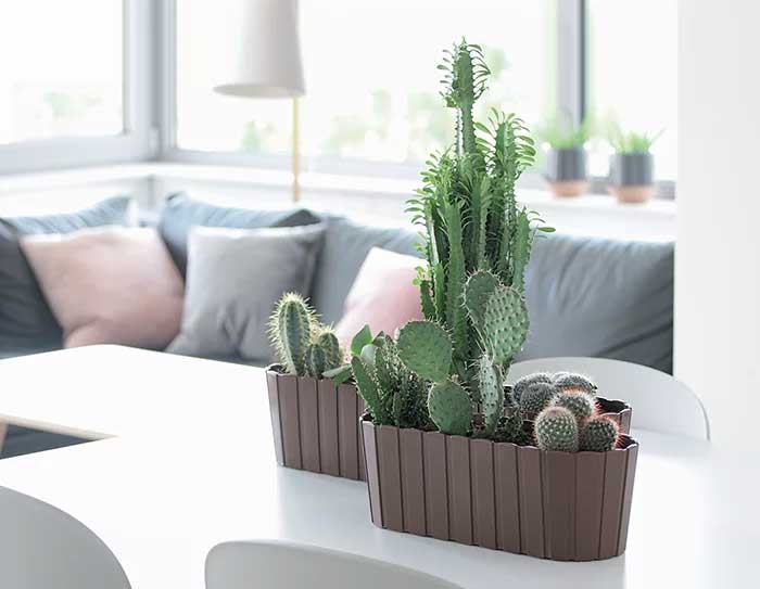 Žardinjera Prosperplast Boardee Braon 39cm - dodatni pogled