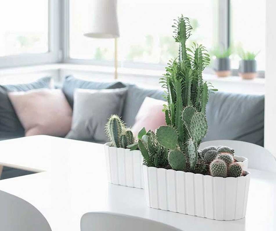 Žardinjera Prosperplast Boardee Bela 59cm - dodatni pogled