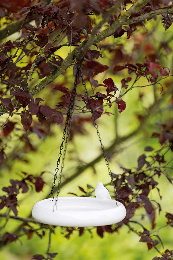 Keramička pojilica i hranilica za ptice 150 ml Trixie 55629 - dodatni pogled