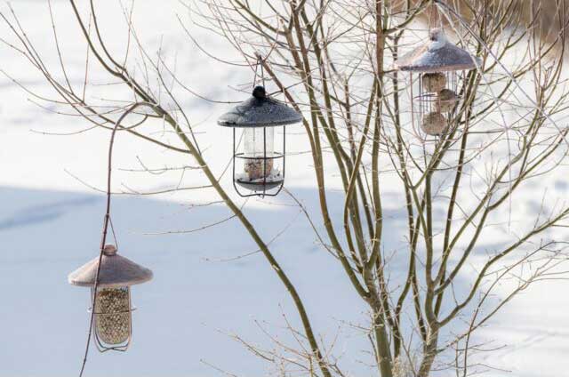 Hranilica za divlje ptice 24cm Fenjer sa mrežicom Trixie 55653 - dodatni pogled