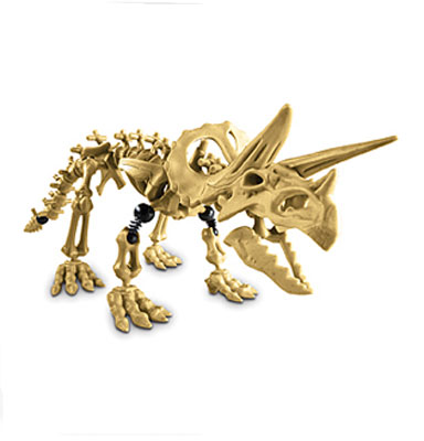 Skeleflex Dino Koska WL57001- Triceraptos - dodatni pogled