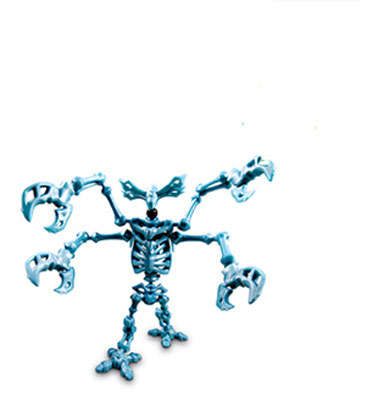 Skeleflex Dino Koska WL57001- Quadmo - dodatni pogled