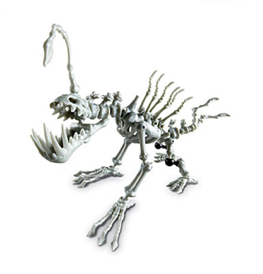 Skeleflex Dino Koska WL57001- Fang-O-Flex - dodatni pogled