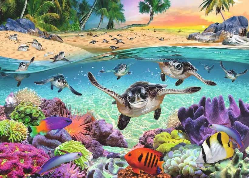 Puzzle 500 delova Mlade morske kornjače u trku Ravensburger 17456 - dodatni pogled