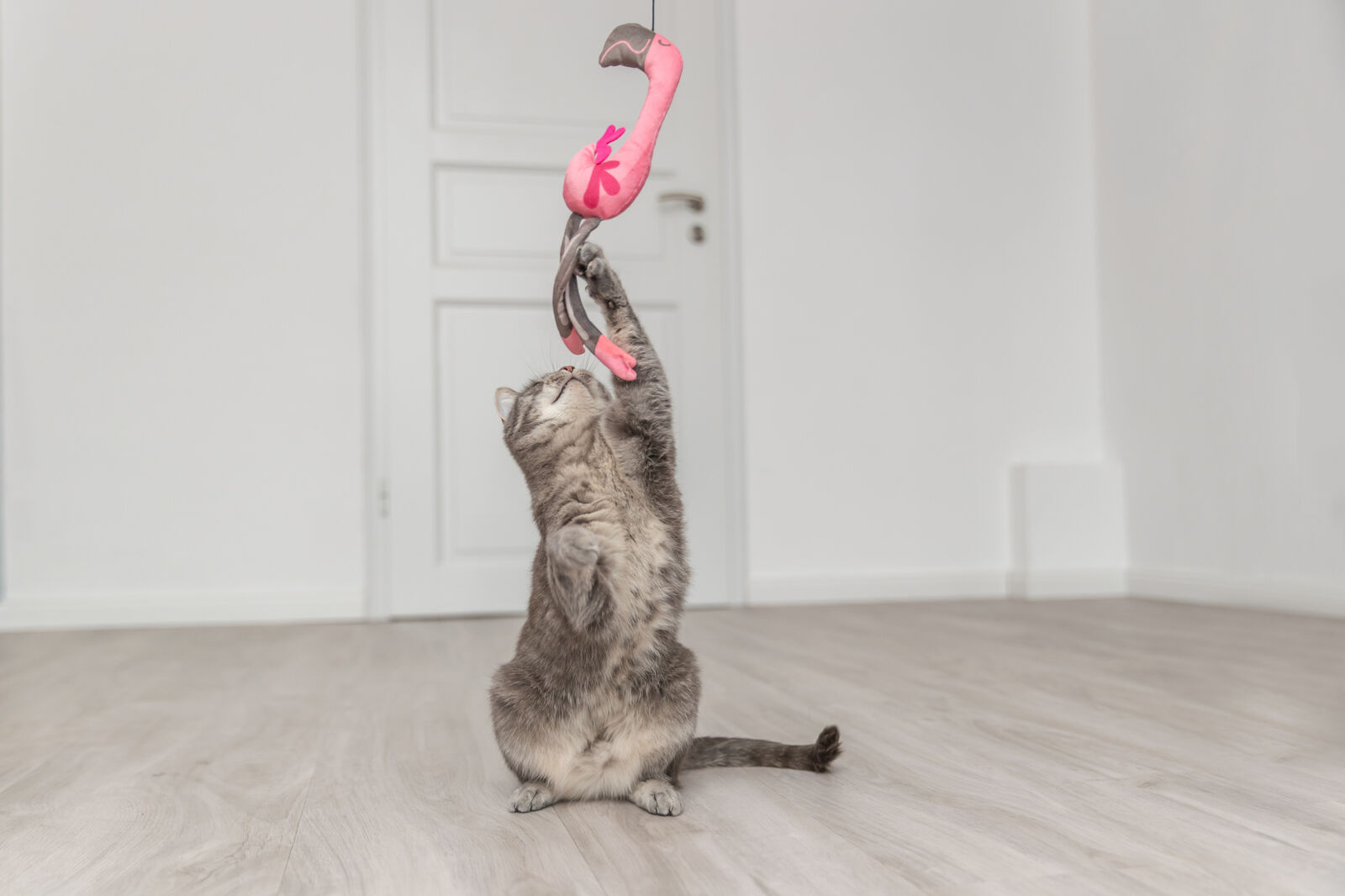 Igračka za mačke Flamingo na teleskopskom štapu TRIXIE 45646 - dodatni pogled