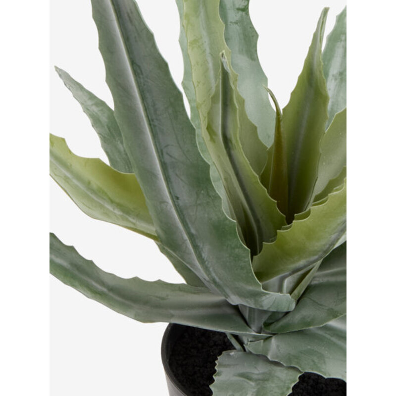 Veštačka biljka Aloe vera 39 cm - dodatni pogled