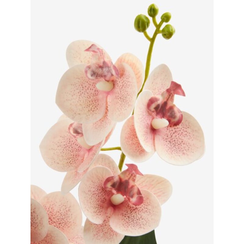 Veštačka biljka Roze orhideja V35cm - dodatni pogled