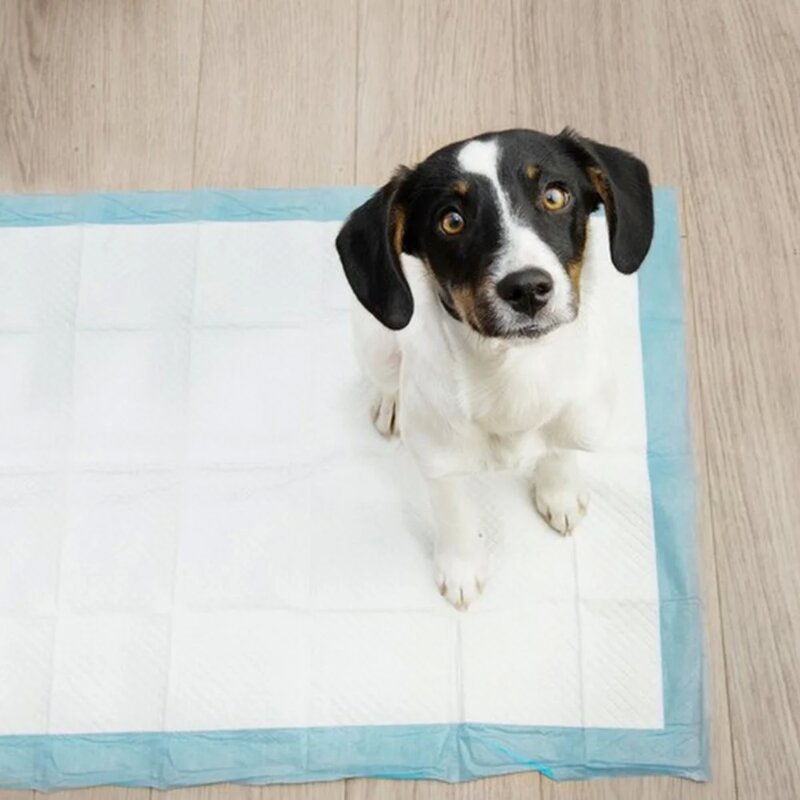 Pelene za pse 60 x 90 cm Pakovanje od 50 komada Purlov - dodatni pogled