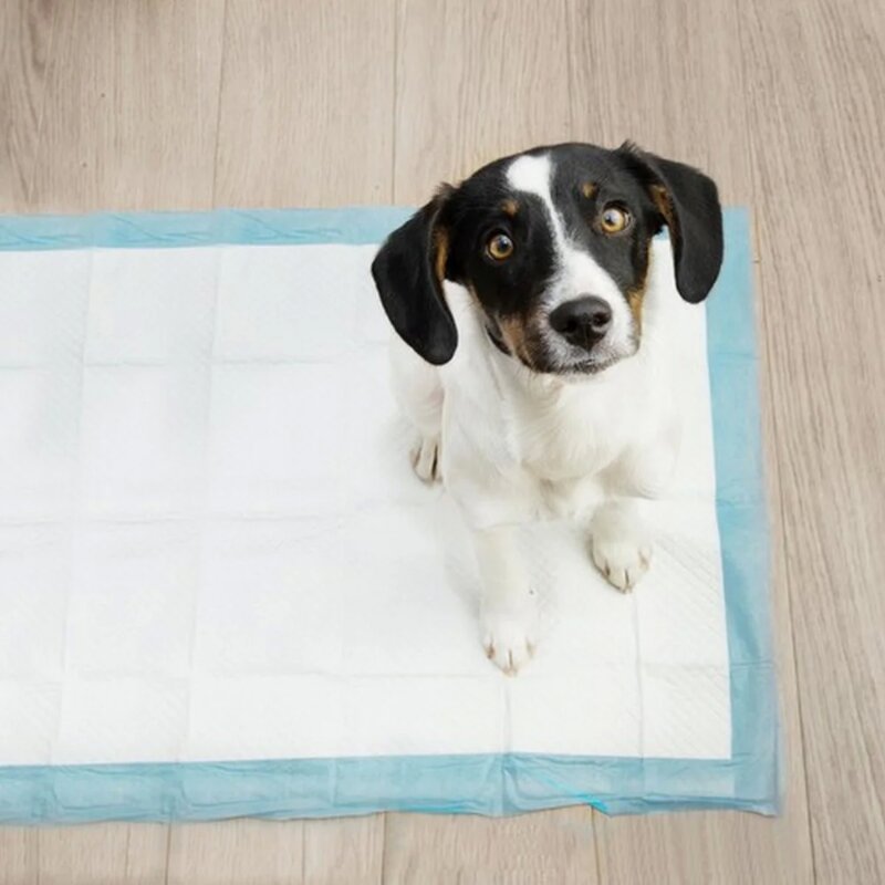 Pelene za pse dimenzija 60 x 40 cm pakovanje 100 komada Purlov - dodatni pogled