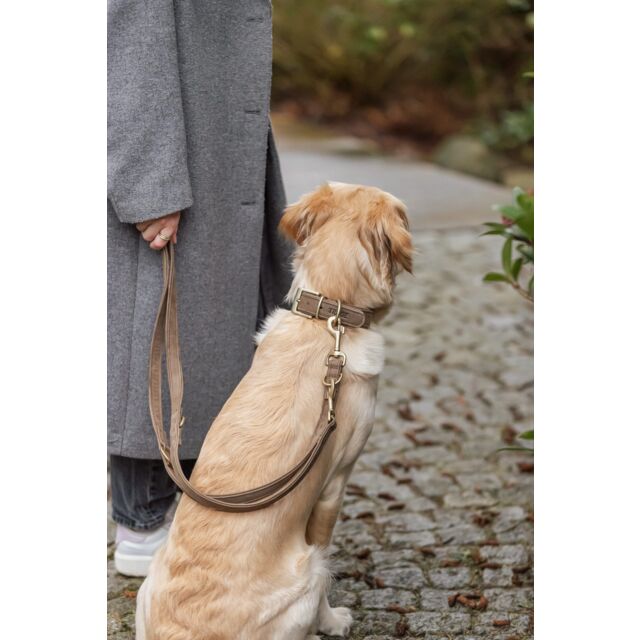 Kožna ogrlica za pse 31-37cm Pure brown TRIXIE 1886026 - dodatni pogled