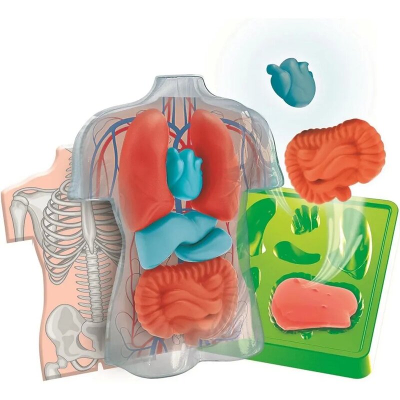Clementoni Anatomija Squishy – edukativni set za decu - dodatni pogled