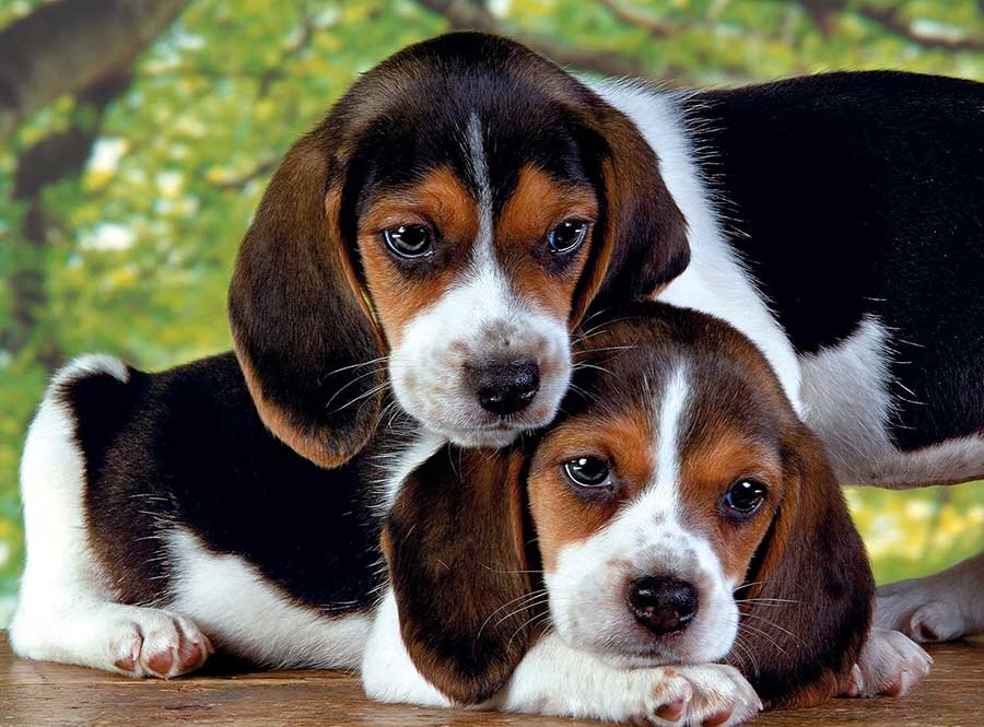 Puzzle 500 delova Zajedno Clementoni 30289 - dodatni pogled