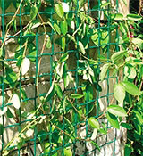 Mreža za ogradu Climbanet 1m x 5m 174659 - dodatni pogled