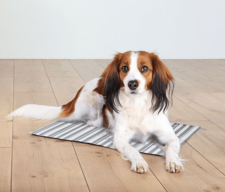 Rashladna prostirka za pse 50x40cm Trixie 28773 - dodatni pogled