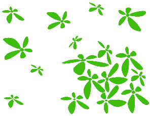 Zidni tatoo Flower Power U01B 120x90cm 6CF73B - dodatni pogled