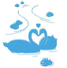 Zidni tatoo Swans R01B 100x120cm 47A7DE - dodatni pogled