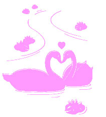 Zidni tatoo Swans R01B 60x72cm FF99FF - dodatni pogled