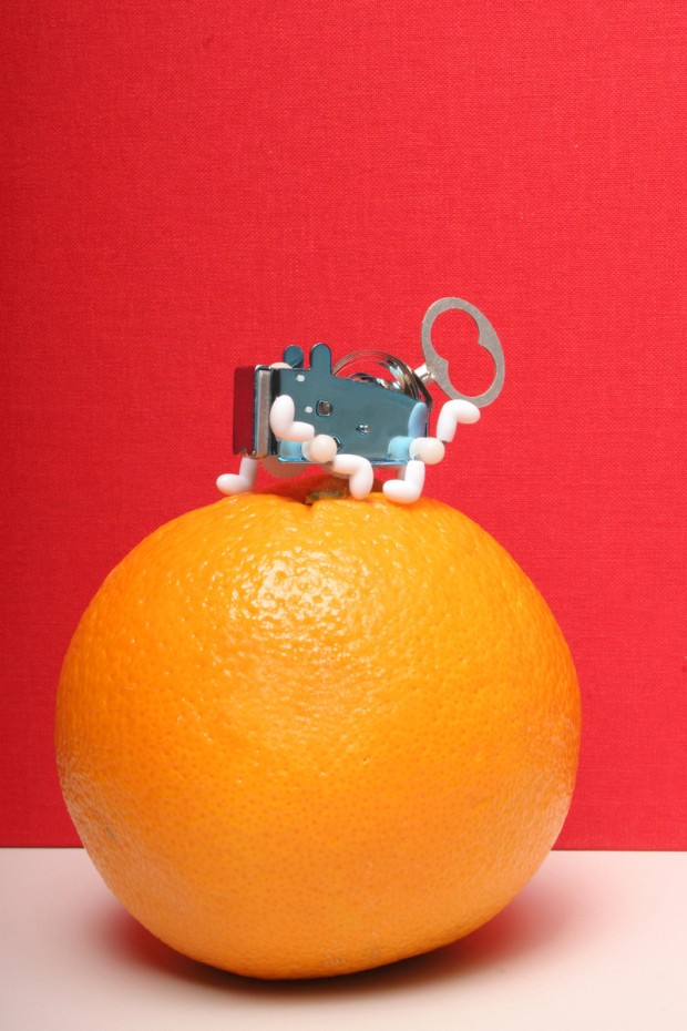 Kikkerland Robotić Pea 1506  - dodatni pogled