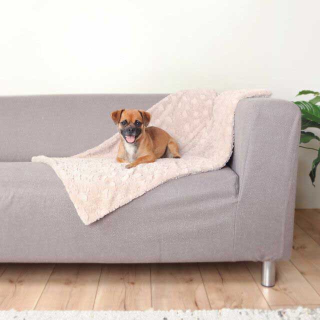 Ćebe za pse Cosy 150x100cm Trixie 37165 - dodatni pogled