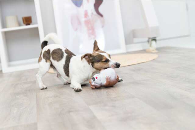 Trixie Igračka za psa Buldog od lateksa sa zvukom 14cm 35517 - dodatni pogled