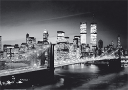 3D slika - Brooklyn bridge - dodatni pogled