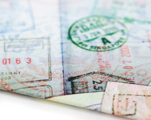 DynoMighty Neuništivi novčanik Passport  DY-603 - dodatni pogled