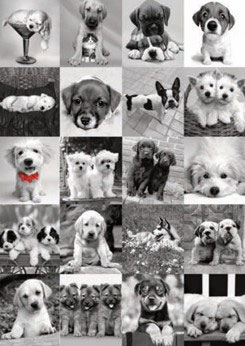 Puzzle 1500 kom Psi 551220 - dodatni pogled