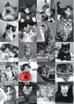 Puzzle 1500 kom Mačke 551275 - dodatni pogled