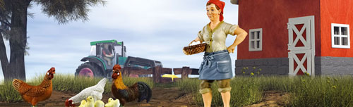 Schleich Domaće životinje - Ljudi - Farmerova žena 13468 - dodatni pogled