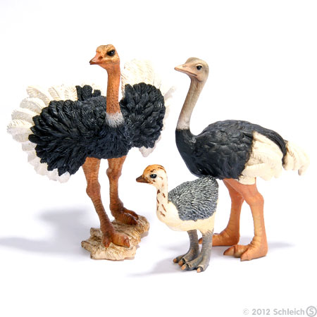 Schleich Divlje Životinje - Noj 14325 - dodatni pogled