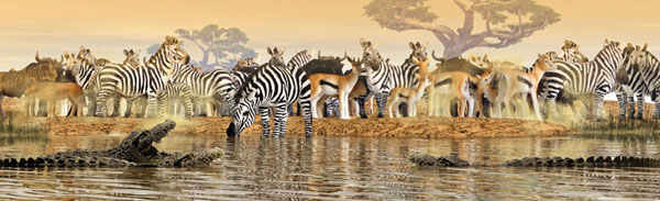 Schleich Divlje Životinje - Nilski konj, mužjak 14132 - dodatni pogled