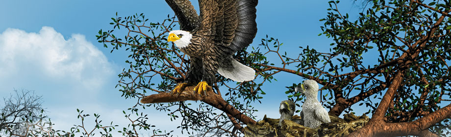 Schleich Divlje Životinje - Crni medved 14316 - dodatni pogled