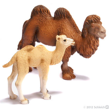 Schleich Divlje Životinje - Dvogrba kamila 14348 - dodatni pogled