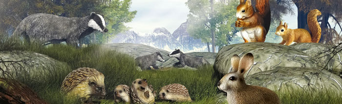 Schleich Divlje Životinje - Srndać 14379 - dodatni pogled