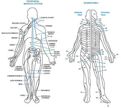 TENS anti-bol stimulator DX-6605D - dodatni pogled