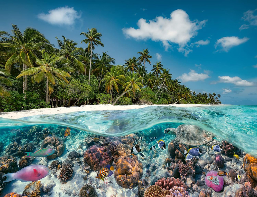 Puzzle slagalica za odrasle 2000 delova Ronjenje na Maldivima Ravensburger 17441 - dodatni pogled
