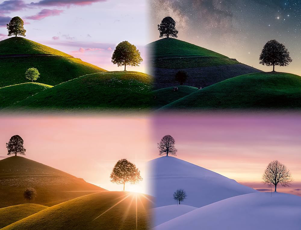 Puzzle slagalica za odrasle 2000 delova Četiri godišnja doba Ravensburger 17443 - dodatni pogled