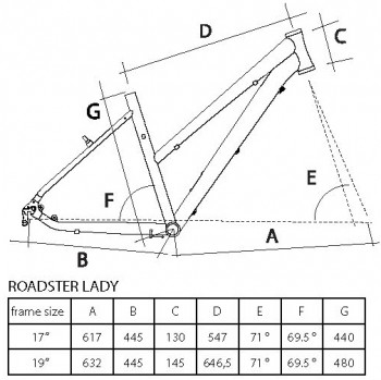 Bicikl Trek Roadster Lady 28/21Al bela-siva 913605-19 - dodatni pogled