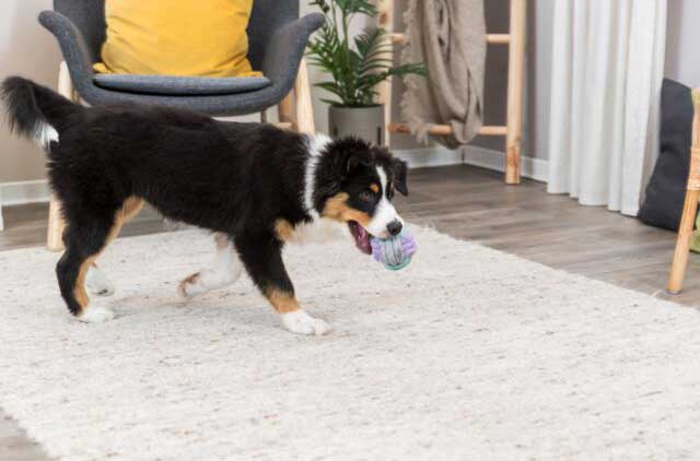 Trixie Igračka za pse Junior Lopta od kanapa 6cm 32810 - dodatni pogled