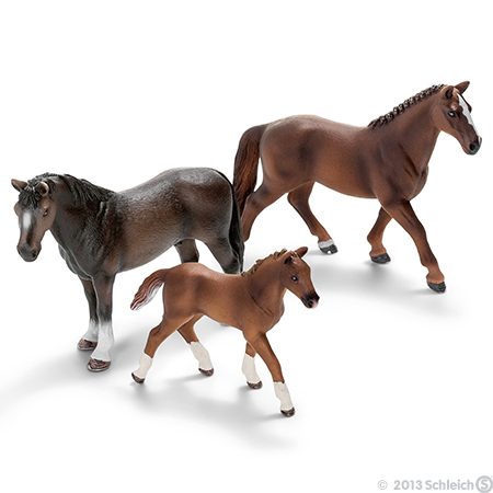 Schleich Domaće životinje - Hanoveransko ždrebe 13730 - dodatni pogled