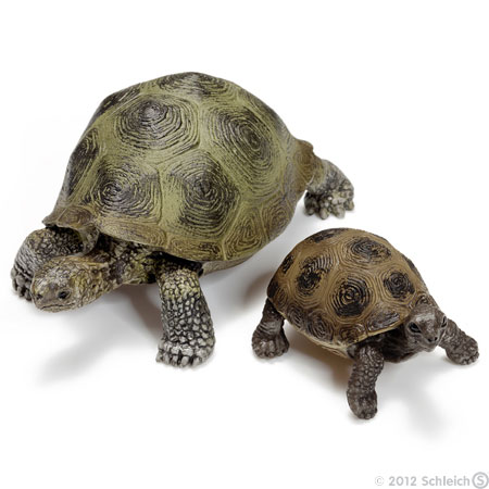 Schleich Divlje Životinje - Džinovska kornjača, mladunče 14643 - dodatni pogled