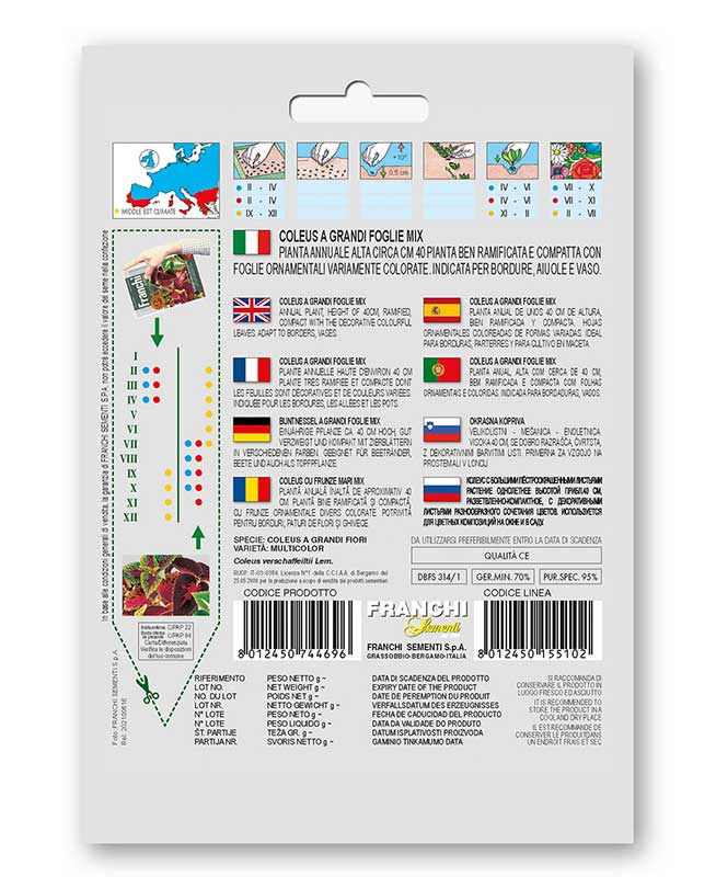 Ukrasna kopriva - Koleus - seme 5 kesica Franchi Sementi Virimax - dodatni pogled