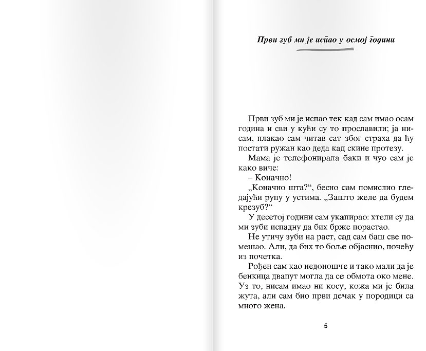 Adalbertova sećanja - dodatni pogled