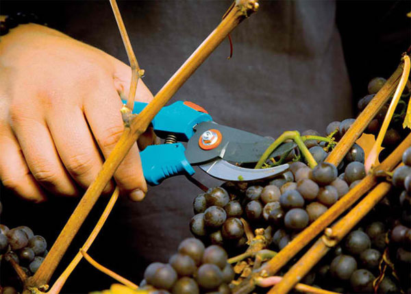 Gardena baštenske makaze Classic GA 08757-20 - dodatni pogled