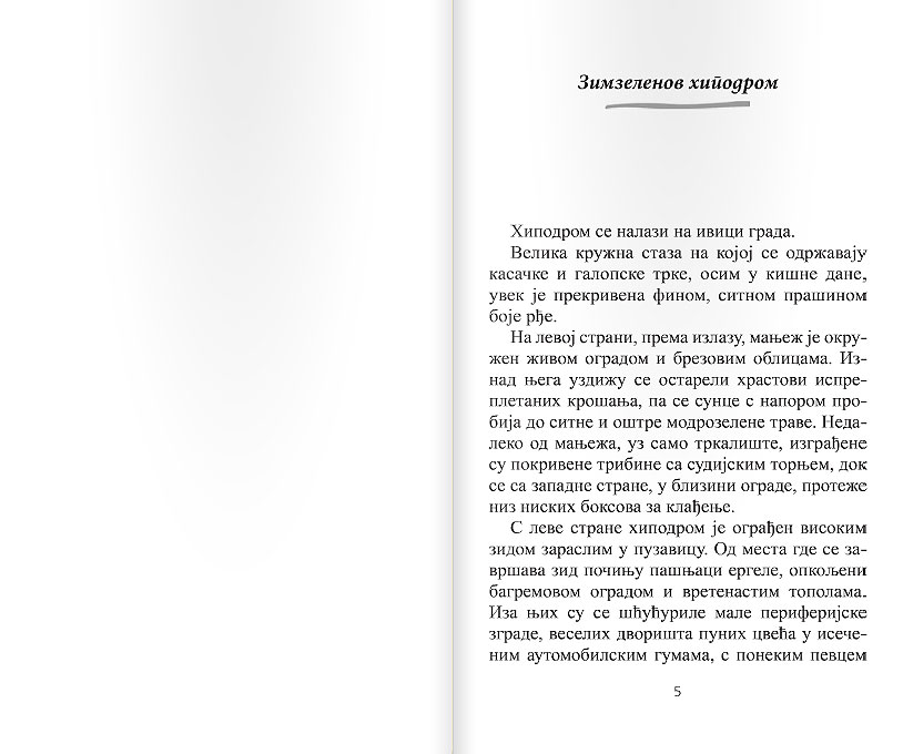 Zimzelenova poslednja trka - dodatni pogled